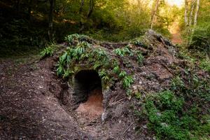 Apnenica (Arhiv Občine Kozje)